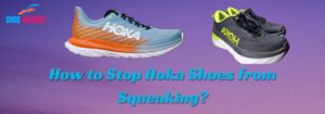 Stop Hoka Shoes from Squeaking